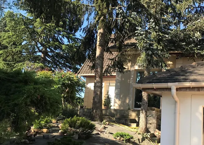 Luxury Villa - La Jachere Epinay-Sous-Senart fotorgafie