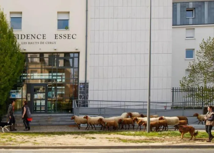 صورة شقة La Taniere Du Port De Cergy Prefecture-Essec