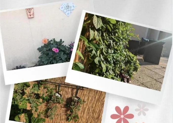 Le Bangorcoon Duplex Vero Forges  photo