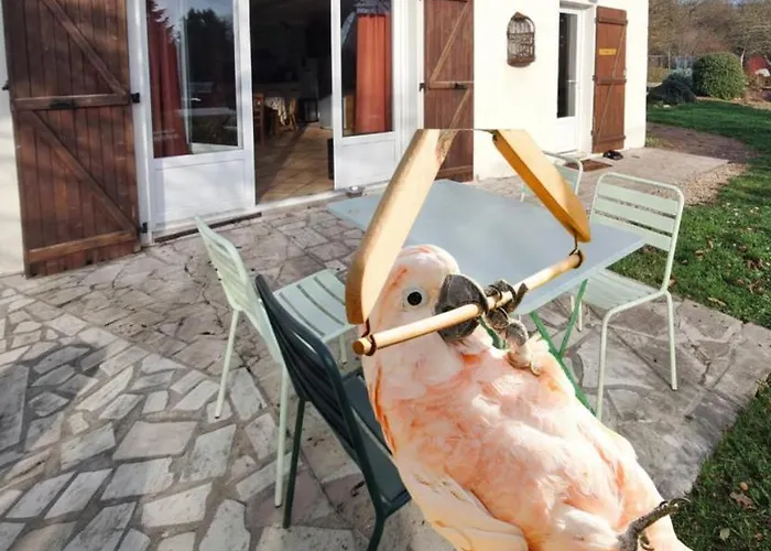 Gite La Plume De Vallombreuse Bransles 사진