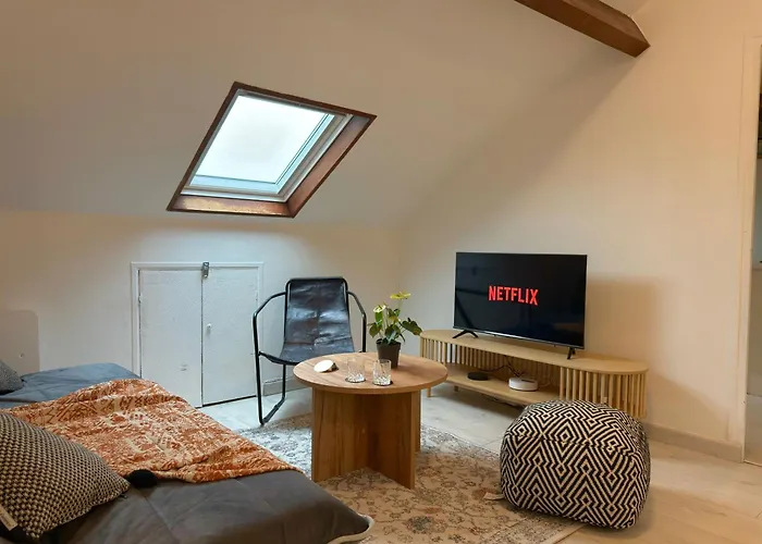 Apartmán Le Toit De Paris Drancy fotorgafie
