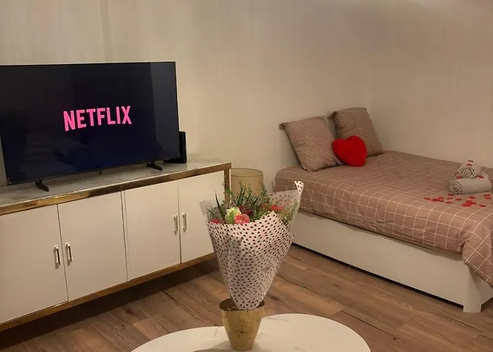 Le Cocon - Paris - Netflix - Parking Daire Noisy-le-Grand fotoğrafı