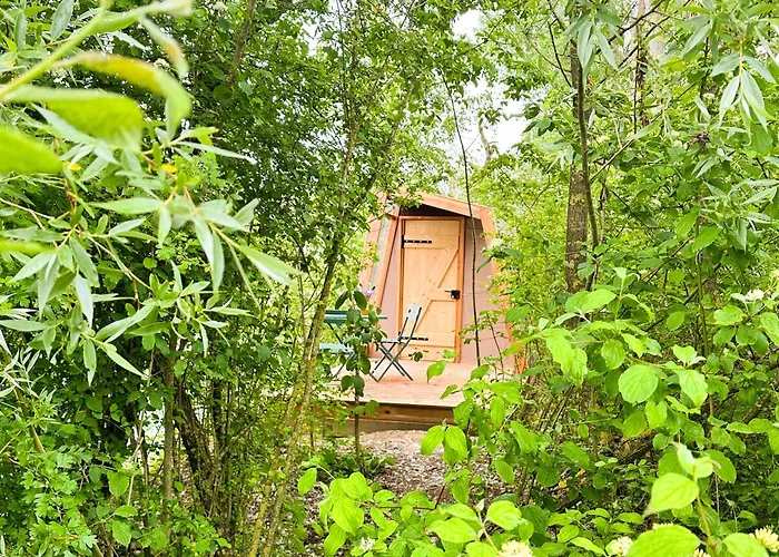 Les Etangs De La Bassee Gravonの写真